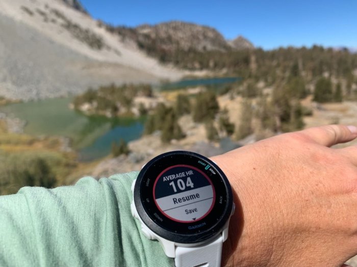 Garmin Forerunner 955 leaks again, including Solar variant Garmin forerunner 985 rumors